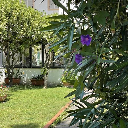 Hotel Rosalia Bordighera Ngoại thất bức ảnh